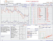 BlutdruckSMS Datenblatt BlutdruckSMS Datenblatt